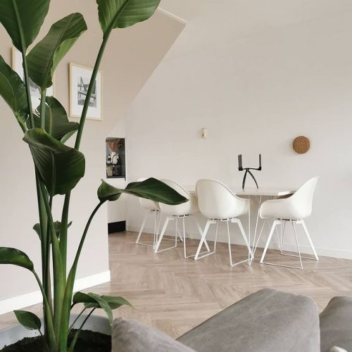 Welke vloer combineer je met een minimalistisch interieur?