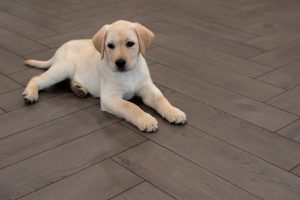 Floer-Visgraat-Laminaat-vloer-Mokka-Zwart-Eiken-visgraat-laminaat-vloerverwarming-5-tips-voor-een-interieur-met-een-donkere-vloer